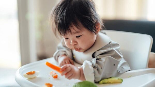 Essential Guide: Introducing Allergenic Foods to Babies Safely